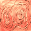 Flower-II