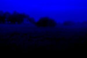 Photography art titled Bluescape1 created by the artist Alfred Lanz