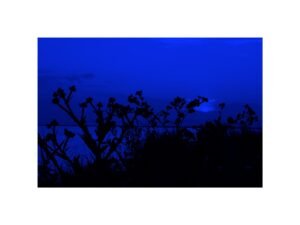 Photography artist Alfred Samuel Lanz artwork titled by ete2B series of Blue Summer collection, size 30x20cm with frame 40x20cm