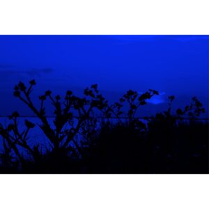 Photography artist Alfred Samuel Lanz artwork titled by ete2B series of Blue Summer collection, size 30x20cm with frame 40x20cm