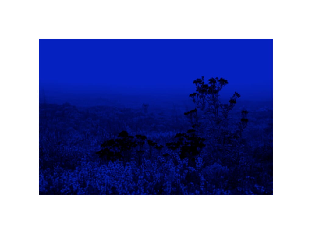 Artist Alfred Samuel Lanz series artwork photography-art Ete8 series