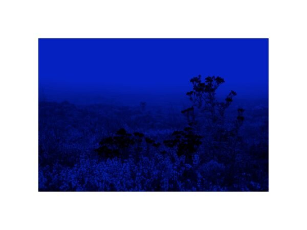 Artist Alfred Samuel Lanz series artwork photography-art Ete8 series